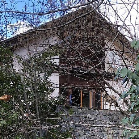 Gemuetliche Ferienwohnung Mit Garten Biasca Extérieur photo